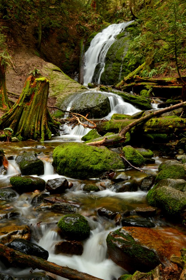 Coal Creek Falls, WA