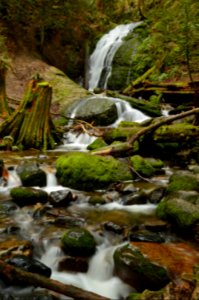 Coal Creek Falls, WA