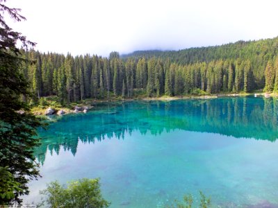 DAM1758 - Dolomiti - Lago di Carezza