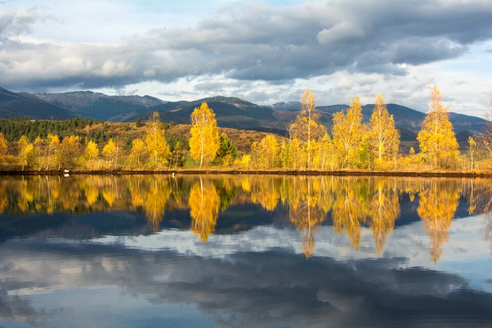 Reflection yellow country