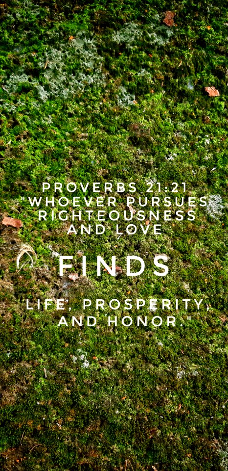 Proverbs 21:21  "Whoever pursues righteousness and love finds life, prosperity, and honor."