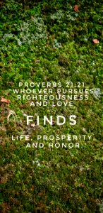 Proverbs 21:21  "Whoever pursues righteousness and love finds life, prosperity, and honor."