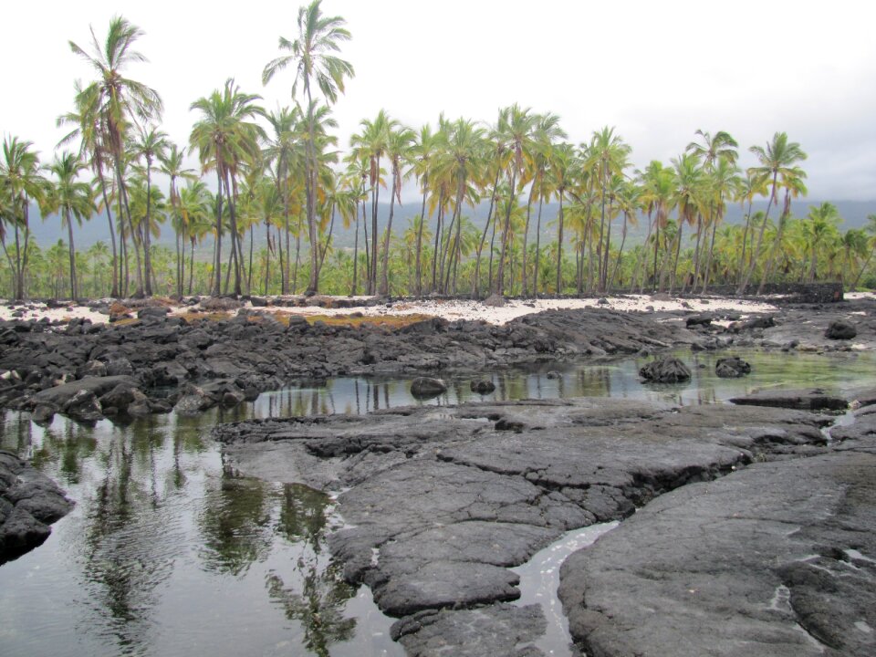 Summer sea hawaii