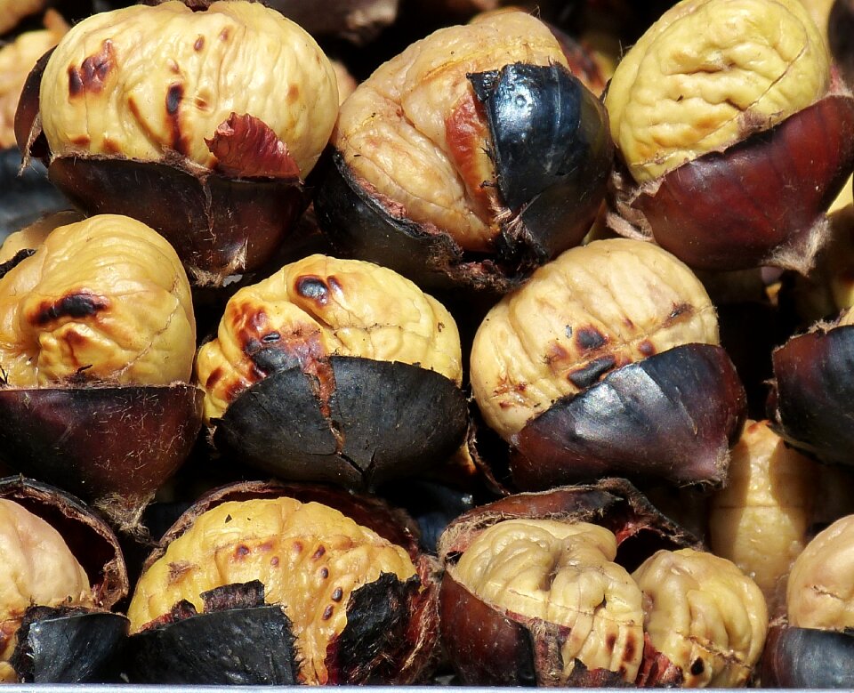Nut snack roasted