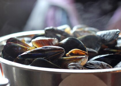 Shellfish dinner fresh