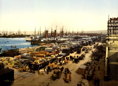 Quay de la Joliette, Marseille, France, ca. 1895.