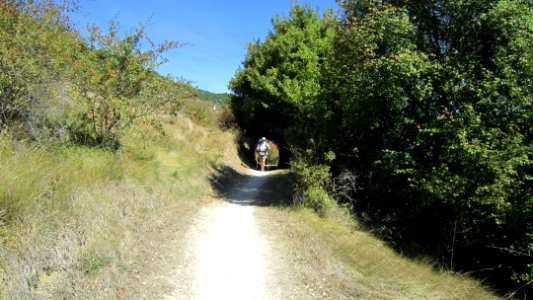 Chemin de compostelle