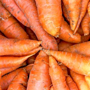 Cart farmers market vegetable photo