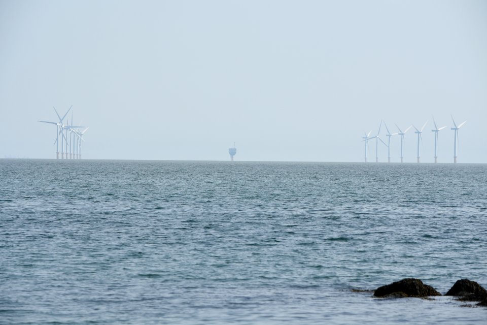 dsc 1343 38386082126 o
