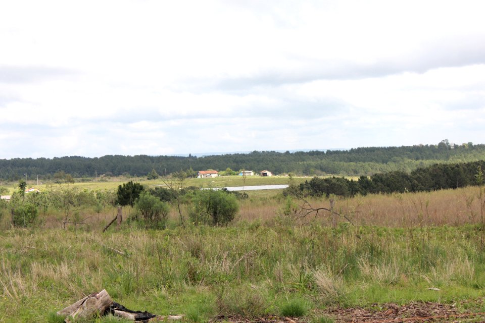 Caminhada na Natureza