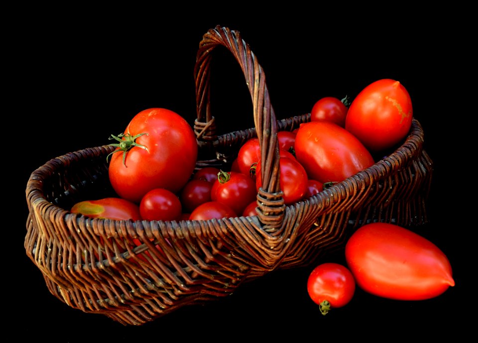 Panier de tomates