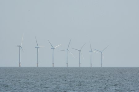 dsc 1329 37555147425 o