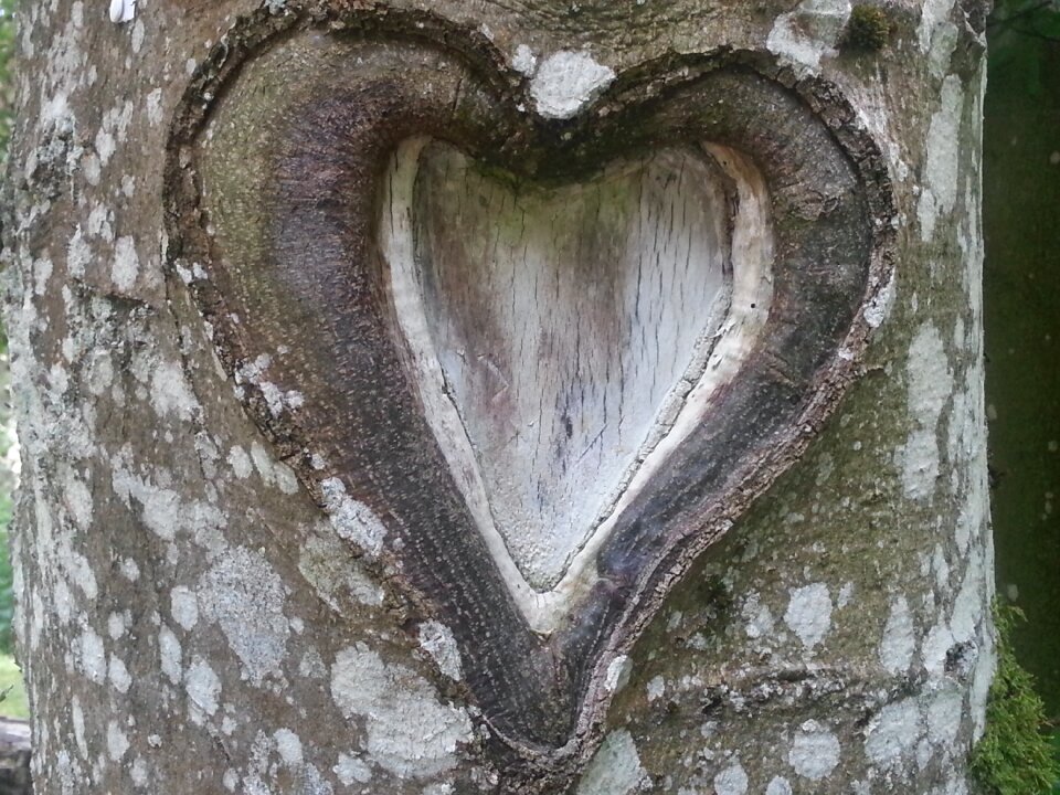 Nature romance valentine's day