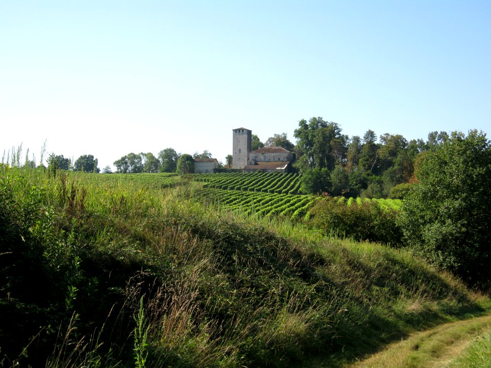Chemin de compostelle