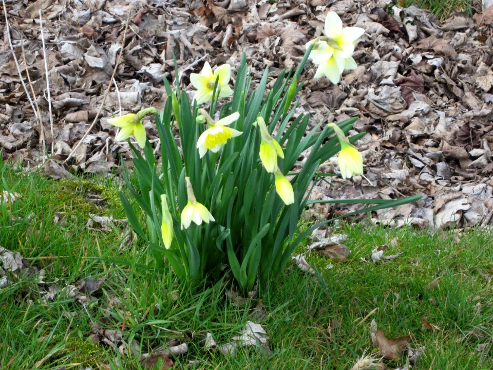 Frühling 2015