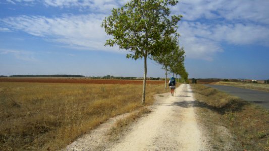 Chemin de compostelle