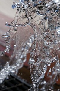 Nature garden splash