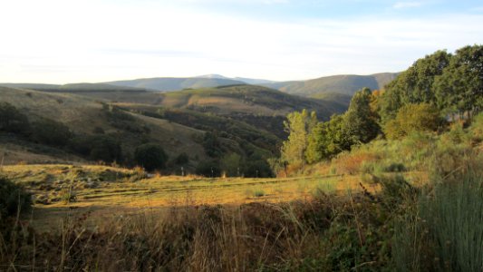 Chemin de compostelle photo