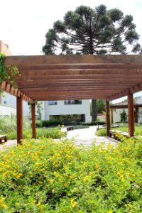 Mago Jardineiro - Aroreira Office