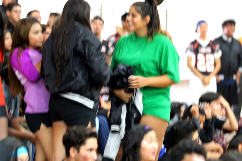 IMG 9957