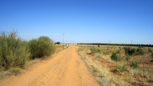 Chemin de compostelle