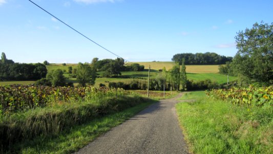Chemin de compostelle