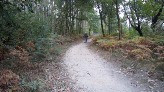 chemi de compostelle