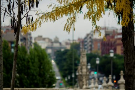 Madrid Otoño