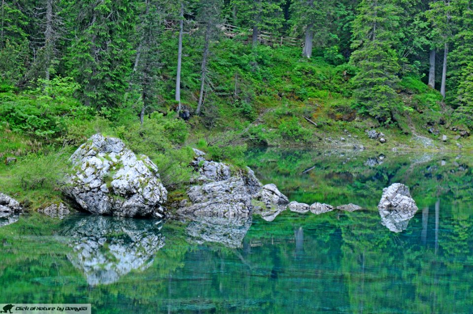 DAM1837 - Dolomiti - Lago di Carezza - Riflessi