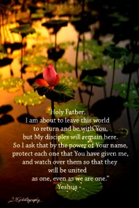 John 17. Jesus Prays