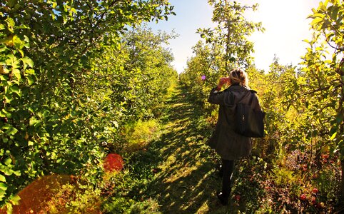 Walk sun fruit
