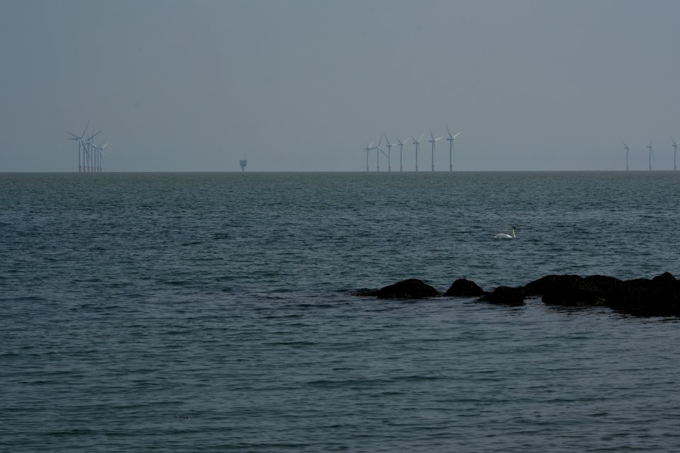 dsc 1341 38386086566 o