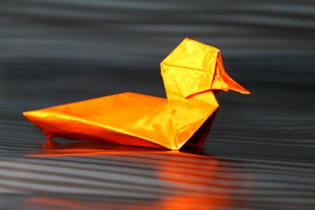 Origami Duck photo