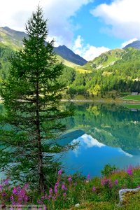 DAM1940 - Lago di Neves - Riflesso di un sogno