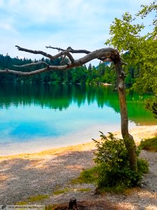 DAM2112 - Lago di Tovel