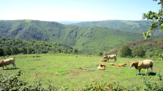 Chemin de compostelle 2011
