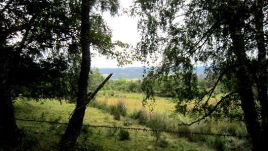 Chemin de compostelle