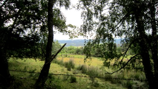 Chemin de compostelle photo