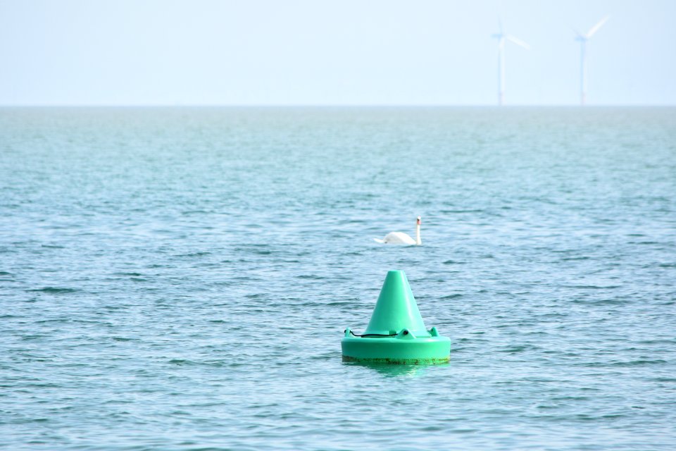dsc 1334 37555140095 o