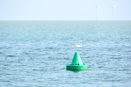 dsc 1334 37555140095 o