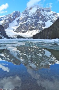 DAM1816 - Dolomiti - Lago di Braies photo