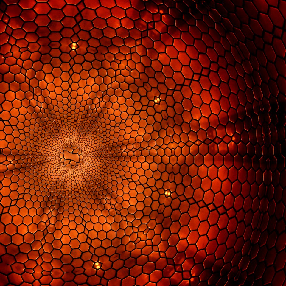 Into the Serpents Belly