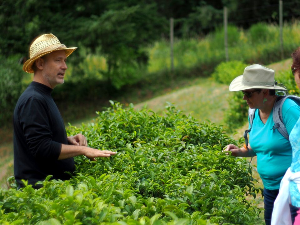 Victor with Tea Plants