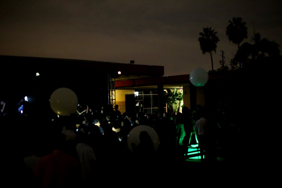 IMG 9951