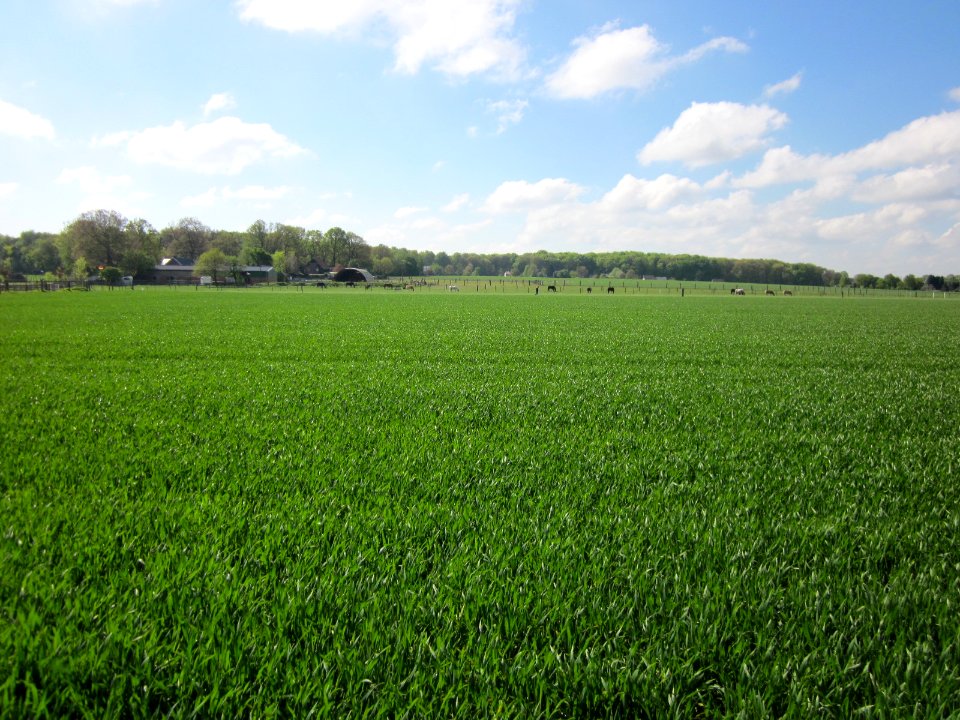 Landschaft Marl Drewer