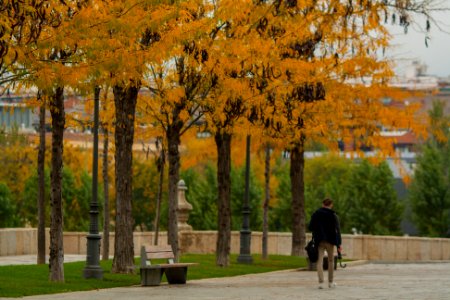 Madrid Otoño