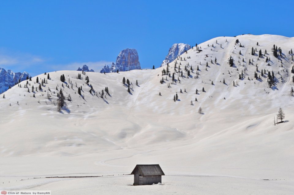 DAM1677 - Dolomiti - Under the sky over the snow