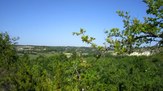 Chemin de compostelle photo