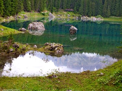 DAM1763 - Dolomiti - Lago di Carezza