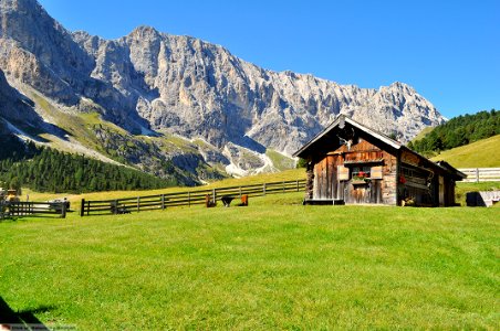 DAM1726 - Dolomiti - Val Duron (Trentino Alto Adige)